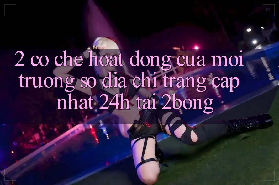 2. Cơ Chế Hoạt Động Của Môi trường số “Địa chỉ trang Cập Nhật 24h” Tại 2bong