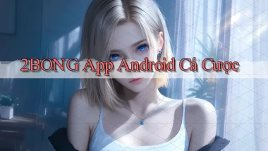 2bong  app android cá cược