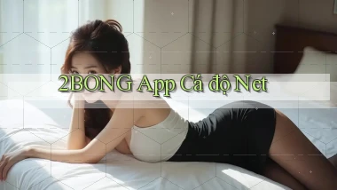 2bong app cá độ net