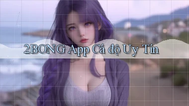 2bong app cá độ uy tín