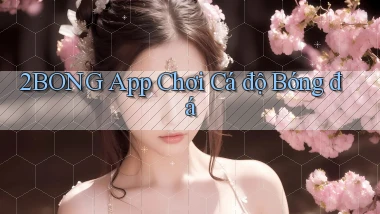 2bong app chơi cá độ bóng đá