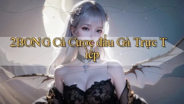 2bong  cá cược đấu gà trực tiếp