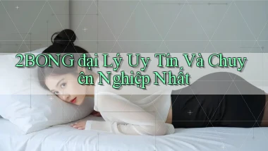 2bong  đại lý uy tín và chuyên nghiệp nhất