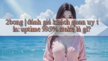 2bong đánh giá khách quan uy tín uptime 99.9% stake là gì