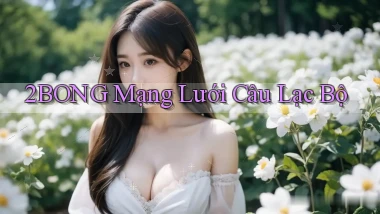 2bong  mạng lưới câu lạc bộ
