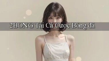 2bong  tải cá cược bóng đá