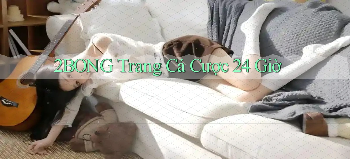 2bong trang cá cược 24 giờ