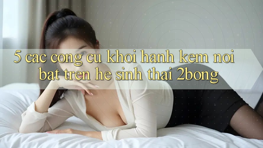 5. Các Công cụ Khởi hành Kèm Nổi Bật Trên Hệ Sinh Thái 2bong 5. Các Công cụ Khởi hành Kèm Nổi Bật Trên Hệ Sinh Thái 2bong