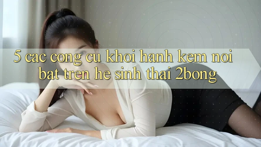 5. Các Công cụ Khởi hành Kèm Nổi Bật Trên Hệ Sinh Thái 2bong