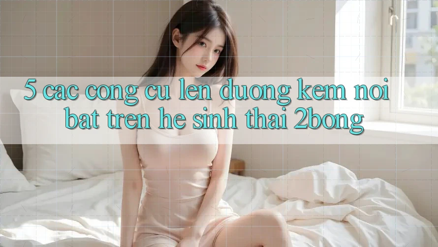 5. Các Công cụ Lên đường Kèm Nổi Bật Trên Hệ Sinh Thái 2bong 5. Các Công cụ Lên đường Kèm Nổi Bật Trên Hệ Sinh Thái 2bong