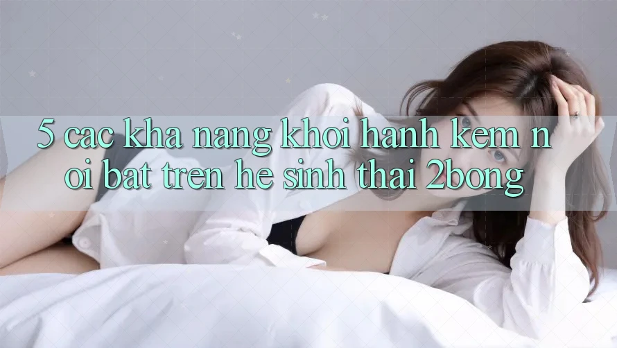 5. Các Khả năng Khởi hành Kèm Nổi Bật Trên Hệ Sinh Thái 2bong
