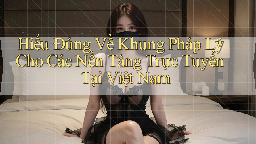 Hiểu Đúng Về Khung Pháp Lý Cho Các Nền Tảng Trực Tuyến Tại Việt Nam