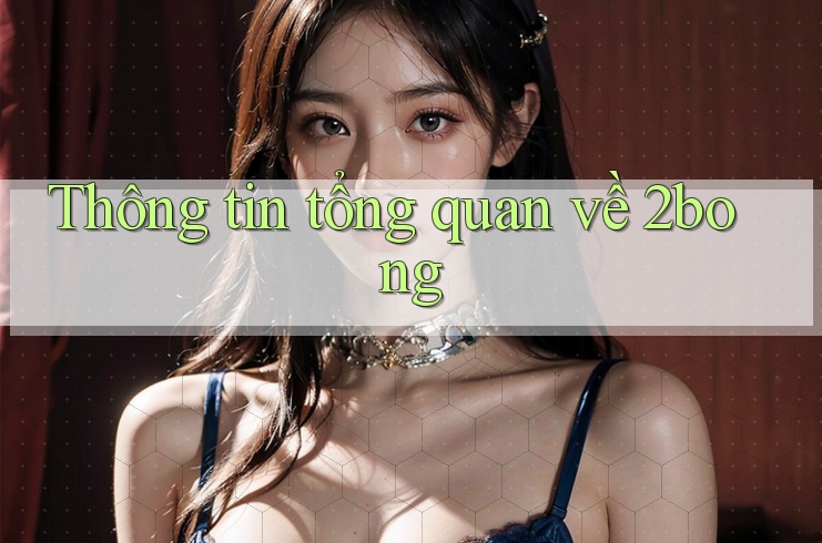 Thông tin tổng quan về 2bong Thông tin tổng quan về 2bong