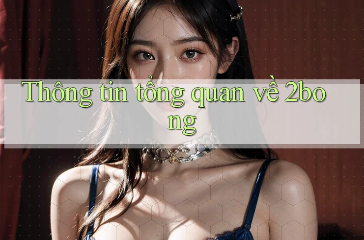 Thông tin tổng quan về 2bong Thông tin tổng quan về 2bong