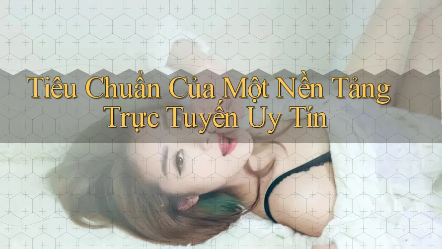 Tiêu Chuẩn Của Một Nền Tảng Trực Tuyến Uy Tín Tiêu Chuẩn Của Một Nền Tảng Trực Tuyến Uy Tín