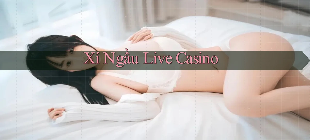 Xí ngầu Live casino