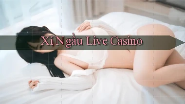 Xí ngầu Live casino